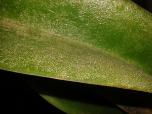 20151218_014905.jpg (3468 просмотров) <a class='original' href='./download/file.php?id=66399&mode=view' target=_blank>Загрузить оригинал (1.86 МБ)</a>