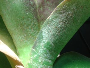 20151218_014959.jpg (3468 просмотров) <a class='original' href='./download/file.php?id=66400&mode=view' target=_blank>Загрузить оригинал (1.48 МБ)</a>