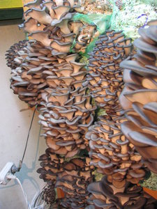 02.jpg (2178 просмотров) <a class='original' href='./download/file.php?id=66581&mode=view' target=_blank>Загрузить оригинал (169.13 КБ)</a>