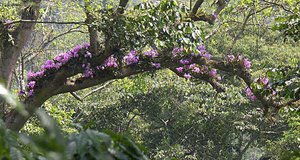 8c8827096901.jpg (2682 просмотра) <a class='original' href='./download/file.php?id=66625&mode=view' target=_blank>Загрузить оригинал (126.41 КБ)</a>