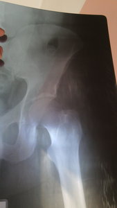 IMG-20151217-WA0005.jpeg (1570 просмотров) <a class='original' href='./download/file.php?id=66720&mode=view' target=_blank>Загрузить оригинал (232.26 КБ)</a>