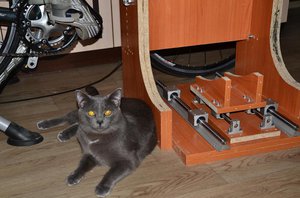 DSC_0491_.jpg (3849 просмотров) <a class='original' href='./download/file.php?id=66940&mode=view' target=_blank>Загрузить оригинал (101.19 КБ)</a>