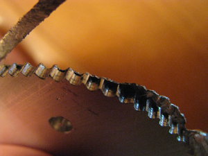 IMG_3308.JPG (2424 просмотра) <a class='original' href='./download/file.php?id=67490&mode=view' target=_blank>Загрузить оригинал (4.16 МБ)</a>