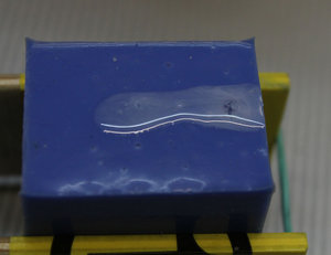 IMG_7432.jpg (9954 просмотра) <a class='original' href='./download/file.php?id=67712&mode=view' target=_blank>Загрузить оригинал (144.98 КБ)</a>