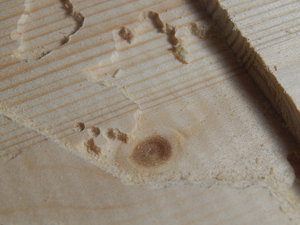 DSCN5523.JPG (2148 просмотров) <a class='original' href='./download/file.php?id=67964&mode=view' target=_blank>Загрузить оригинал (928.72 КБ)</a>