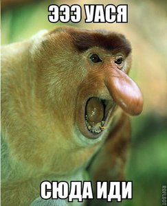 SL0DyktlWAw.jpg (2076 просмотров) <a class='original' href='./download/file.php?id=68098&mode=view' target=_blank>Загрузить оригинал (32.78 КБ)</a>