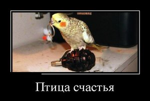 56756785.jpg (2342 просмотра) <a class='original' href='./download/file.php?id=68787&mode=view' target=_blank>Загрузить оригинал (33.02 КБ)</a>