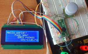 DSC_0467.jpg (2939 просмотров) <a class='original' href='./download/file.php?id=6879&mode=view' target=_blank>Загрузить оригинал (112.93 КБ)</a>