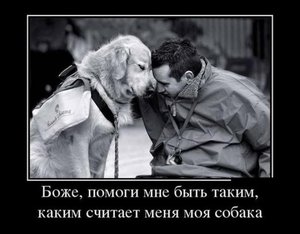 876978087.jpg (2328 просмотров) <a class='original' href='./download/file.php?id=68815&mode=view' target=_blank>Загрузить оригинал (40.2 КБ)</a>