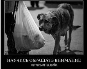 ljh9087987.jpg (2328 просмотров) <a class='original' href='./download/file.php?id=68817&mode=view' target=_blank>Загрузить оригинал (40.5 КБ)</a>