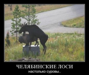 766163.jpg (1609 просмотров) <a class='original' href='./download/file.php?id=69044&mode=view' target=_blank>Загрузить оригинал (66.6 КБ)</a>