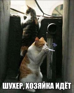 16165165.jpg (2424 просмотра) <a class='original' href='./download/file.php?id=69467&mode=view' target=_blank>Загрузить оригинал (44.18 КБ)</a>