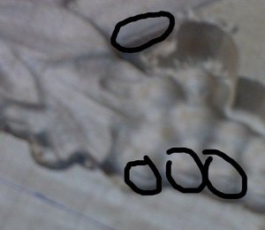 Зарезы.jpg (1826 просмотров) <a class='original' href='./download/file.php?id=6949&mode=view' target=_blank>Загрузить оригинал (32.85 КБ)</a>