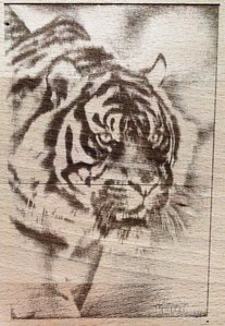 IMG_20160121_172312.jpg (4215 просмотров) <a class='original' href='./download/file.php?id=69514&mode=view' target=_blank>Загрузить оригинал (2.05 МБ)</a>