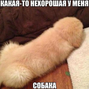 PblA9Iyzjyk.jpg (2315 просмотров) <a class='original' href='./download/file.php?id=69522&mode=view' target=_blank>Загрузить оригинал (64.96 КБ)</a>