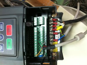 IMG_0962[1].JPG (19366 просмотров) <a class='original' href='./download/file.php?id=69743&mode=view' target=_blank>Загрузить оригинал (1.73 МБ)</a>