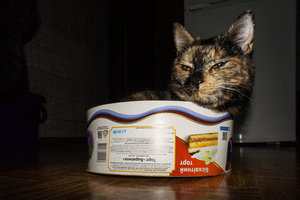 _DSC7260.jpg (4015 просмотров) <a class='original' href='./download/file.php?id=69927&mode=view' target=_blank>Загрузить оригинал (822.53 КБ)</a>