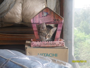 SDC10347.JPG (4003 просмотра) <a class='original' href='./download/file.php?id=69934&mode=view' target=_blank>Загрузить оригинал (2.5 МБ)</a>