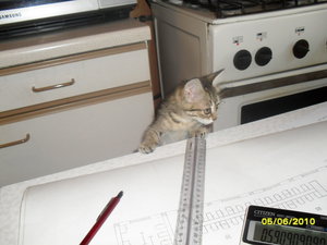 SDC10353.JPG (4003 просмотра) <a class='original' href='./download/file.php?id=69935&mode=view' target=_blank>Загрузить оригинал (2.62 МБ)</a>