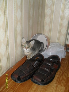 SDC10430.JPG (4003 просмотра) <a class='original' href='./download/file.php?id=69936&mode=view' target=_blank>Загрузить оригинал (2.57 МБ)</a>