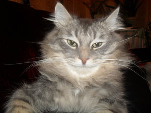 SDC12178.JPG (4003 просмотра) <a class='original' href='./download/file.php?id=69938&mode=view' target=_blank>Загрузить оригинал (2.51 МБ)</a>