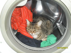 SDC14471.JPG (4003 просмотра) <a class='original' href='./download/file.php?id=69939&mode=view' target=_blank>Загрузить оригинал (2.6 МБ)</a>