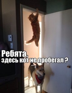 8921984.jpg (1517 просмотров) <a class='original' href='./download/file.php?id=69958&mode=view' target=_blank>Загрузить оригинал (42.45 КБ)</a>