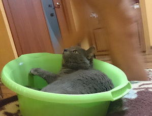 DSC_0805.JPG (3956 просмотров) <a class='original' href='./download/file.php?id=70145&mode=view' target=_blank>Загрузить оригинал (1.38 МБ)</a>