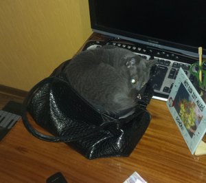 imag0610.jpg (3956 просмотров) <a class='original' href='./download/file.php?id=70146&mode=view' target=_blank>Загрузить оригинал (355.63 КБ)</a>