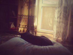 Фото0609-2.jpg (3956 просмотров) <a class='original' href='./download/file.php?id=70147&mode=view' target=_blank>Загрузить оригинал (183.39 КБ)</a>