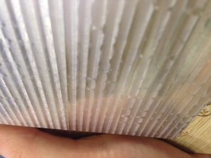 image.jpeg (3364 просмотра) <a class='original' href='./download/file.php?id=70218&mode=view' target=_blank>Загрузить оригинал (1.82 МБ)</a>