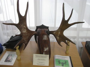 IMG_3432.JPG (11048 просмотров) <a class='original' href='./download/file.php?id=70517&sid=8bcbf6bdd6c1b5afcdcde0fe645b83f0&mode=view' target=_blank>Загрузить оригинал (3.56 МБ)</a>