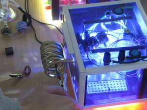 IMG_3444.JPG (11068 просмотров) <a class='original' href='./download/file.php?id=70529&mode=view' target=_blank>Загрузить оригинал (3.96 МБ)</a>