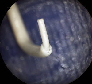 20160203_032826.jpg (5770 просмотров) <a class='original' href='./download/file.php?id=70601&mode=view' target=_blank>Загрузить оригинал (232.29 КБ)</a>