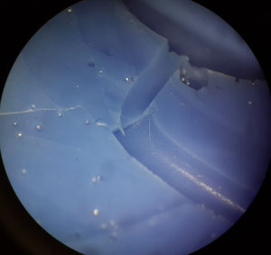 20160203_034006.jpg (5768 просмотров) <a class='original' href='./download/file.php?id=70602&mode=view' target=_blank>Загрузить оригинал (207.75 КБ)</a>