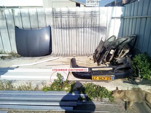 IMG_20160203_141131_s.jpg (2786 просмотров) <a class='original' href='./download/file.php?id=70646&mode=view' target=_blank>Загрузить оригинал (173.39 КБ)</a>