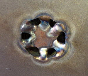 DSC_0496.jpg (3420 просмотров) <a class='original' href='./download/file.php?id=7126&sid=0e52da394b0f0449c3ed6d6213dcd6a9&mode=view' target=_blank>Загрузить оригинал (79.87 КБ)</a>