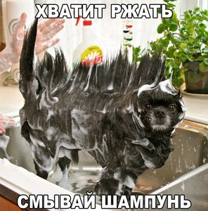 12376367_1040960072629427_2685046829844493311_n.jpg (1504 просмотра) <a class='original' href='./download/file.php?id=71538&mode=view' target=_blank>Загрузить оригинал (101.77 КБ)</a>