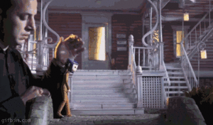 stop-motion-film.gif (1705 просмотров) <a class='original' href='./download/file.php?id=71553&mode=view' target=_blank>Загрузить оригинал (2.5 МБ)</a>