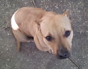 20150415_1656051.jpg (1683 просмотра) <a class='original' href='./download/file.php?id=71621&mode=view' target=_blank>Загрузить оригинал (154.98 КБ)</a>