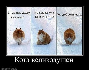 котэ-демотиваторы-смешные-демотиваторы-52426.jpeg (2753 просмотра) <a class='original' href='./download/file.php?id=72081&mode=view' target=_blank>Загрузить оригинал (79.25 КБ)</a>