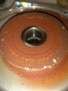 DSC_4230.jpg (7905 просмотров) <a class='original' href='./download/file.php?id=72318&mode=view' target=_blank>Загрузить оригинал (2.18 МБ)</a>