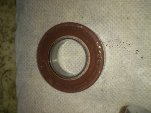 DSC_4232.jpg (7921 просмотр) <a class='original' href='./download/file.php?id=72320&mode=view' target=_blank>Загрузить оригинал (2.5 МБ)</a>