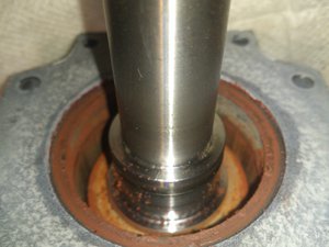 DSC_4233.jpg (7936 просмотров) <a class='original' href='./download/file.php?id=72321&mode=view' target=_blank>Загрузить оригинал (2.07 МБ)</a>