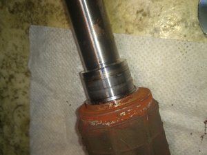 DSC_4236.jpg (7905 просмотров) <a class='original' href='./download/file.php?id=72324&mode=view' target=_blank>Загрузить оригинал (2.37 МБ)</a>