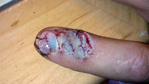 DSC_0507.jpg (5946 просмотров) <a class='original' href='./download/file.php?id=7238&mode=view' target=_blank>Загрузить оригинал (154.77 КБ)</a>