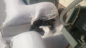 DSC_0198.JPG (2.69 МБ) 16077 просмотров маслостанция (16077 просмотров) <a class='original' href='./download/file.php?id=72406&sid=ca2a49c3fd20ee5b32850f0daaa8b77b&mode=view' target=_blank>Загрузить оригинал (2.69 МБ)</a>