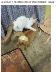 Screenshot - 17.02.2016 , 18_05_32.png (2381 просмотр) <a class='original' href='./download/file.php?id=72433&mode=view' target=_blank>Загрузить оригинал (288.71 КБ)</a>