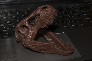 _DSC0126.JPG (2325 просмотров) <a class='original' href='./download/file.php?id=72680&mode=view' target=_blank>Загрузить оригинал (11.94 МБ)</a>