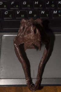 _DSC0128.JPG (2325 просмотров) <a class='original' href='./download/file.php?id=72682&mode=view' target=_blank>Загрузить оригинал (12.84 МБ)</a>